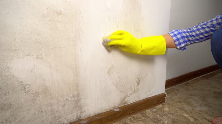 Best Biohazard Mold Removal  in March Ar, CA