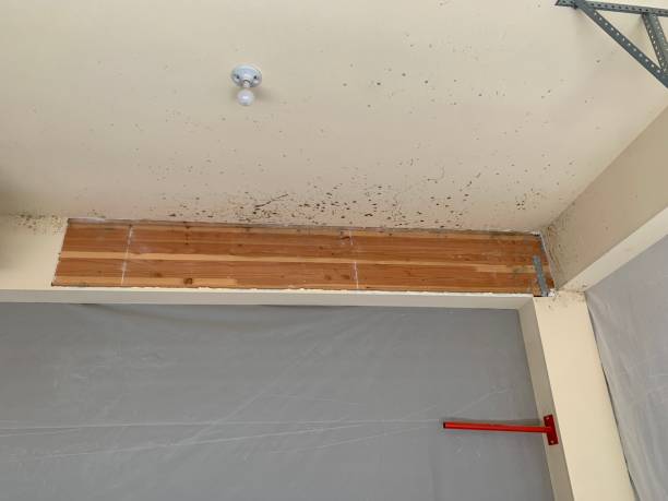 Best Residential Mold Inspection & Testing  in March Ar, CA