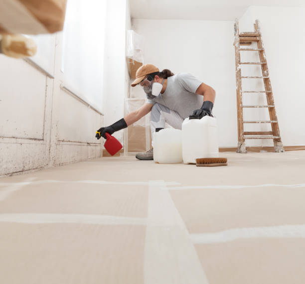 Best Asbestos and Lead Testing During Mold Inspection  in March Ar, CA