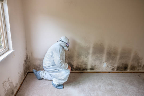 Best Air Quality Testing for Mold Spores  in March Ar, CA