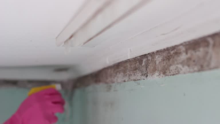 Best Mold Odor Removal Services  in March Ar, CA